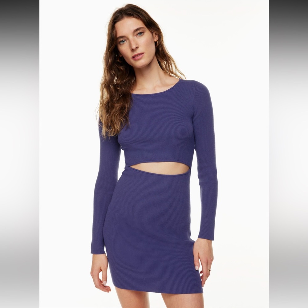 Aritzia Wilfred Free Cut-Out Knit Longsleeve Mini Dress Long Sleeve